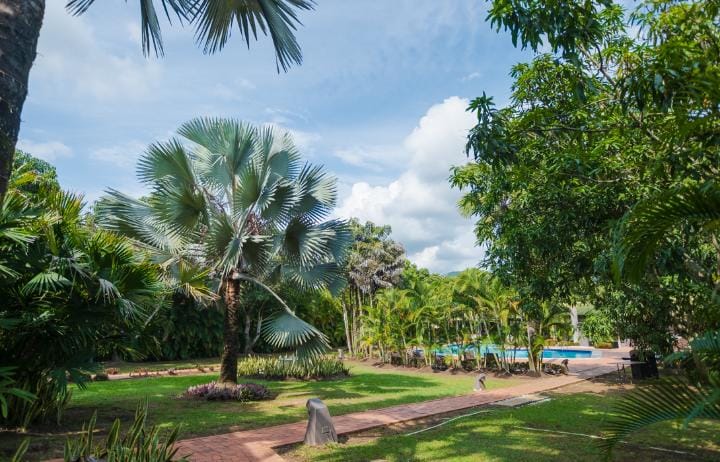 WhatsApp Image 2025-09-10 at 12.00.11 PM